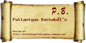 Pattantyus Barnabás névjegykártya